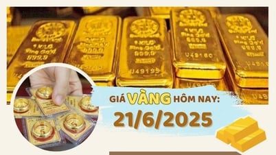 금값 6월 21일 오늘 금반지 50만동/태엘 하락