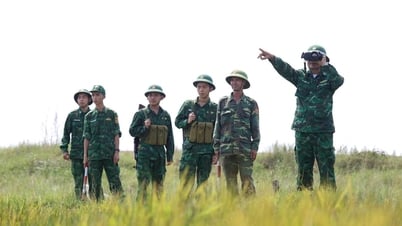 Giải thể 44 bộ chỉ huy Bộ đội biên phòng các tỉnh, thành phố