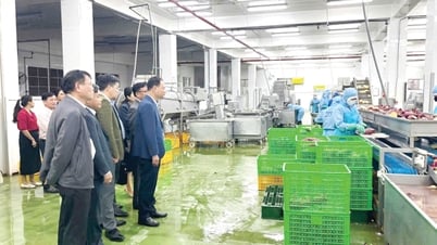 Đức Trọng quyết tâm hoàn thành mục tiêu tăng trưởng kinh tế