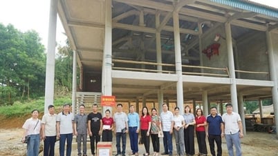 'Sứ mệnh đặc biệt' của báo chí