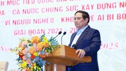 កម្មវិធីត្រូវតែអនុញ្ញាតឱ្យមនុស្សមានអារម្មណ៍ និងរីករាយជាមួយលទ្ធផលពិតប្រាកដ។