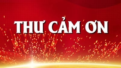 Thư cảm ơn của Báo Đắk Nông