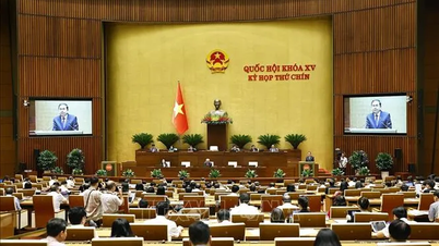 Tuần làm việc cuối của Kỳ họp thứ 9, Quốc hội khóa XV: Thông qua nhiều luật, nghị quyết