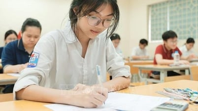 Binh Thuan Aufnahmenote 10. Klasse: Höchstpunktzahl 17,25, niedrigste 6,25