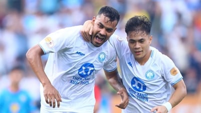 Итоговый рейтинг V-League 2024-2025: Nam Dinh коронован, Binh Dinh вылетел