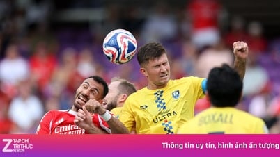 Auckland City đá bóng, không làm bánh