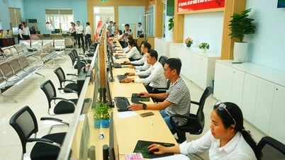 다낭시는 6개 지방과 구에서 시범 운영을 시작했습니다.