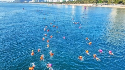 นักว่ายน้ำพิชิตอ่าวที่สวยที่สุดในโลกที่ SeaStar Nha Trang Bay 2025