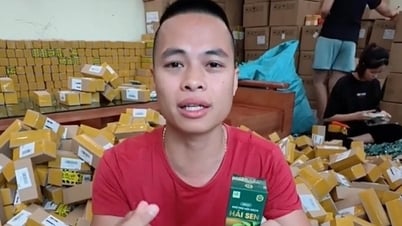 Thông tin nóng liên quan đến kênh TikTok "Gia đình Hải Sen", sữa Hiup giả