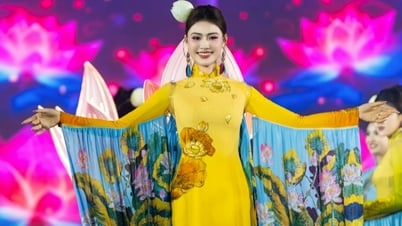 Miss Hoang Chau Anh attracts with "glowing lotus petal" ao dai in the rain