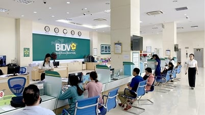 Cho vay lĩnh vực nông nghiệp nông thôn chiếm 66,5%/tổng dư nợ toàn tỉnh