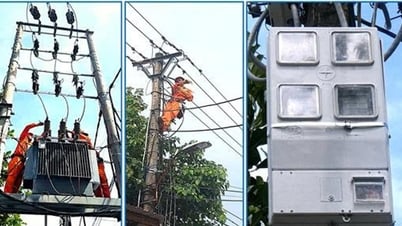 PC Quảng Nam nâng cấp lưới điện mới tiếp nhận từ 5 hợp tác xã, đáp ứng tốt nhu cầu điện của người dân