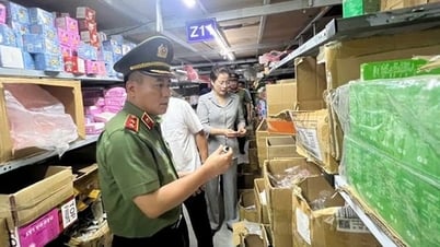 Hanoi inspects production and business activities in La Phu commune.