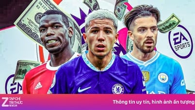 10 most expensive rookies in Premier League history