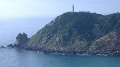 Về nơi bình minh tới sớm