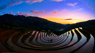 Erstaunt über die Schönheit der Überschwemmungssaison auf Terrassenfeldern in Lao Cai