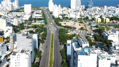 La Organización Trump está interesada en invertir en el Centro Financiero Internacional de Da Nang