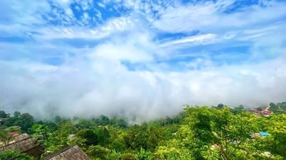 Vẽ ta