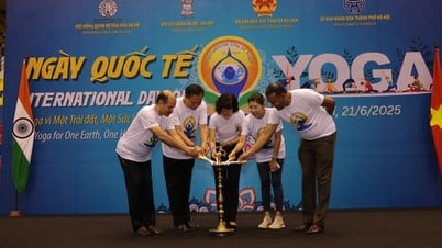1,000 people join International Yoga Day 2025 in Hanoi
