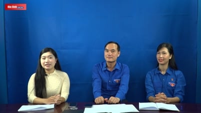 พูดคุย: เครื่องหมายเสื้อเขียวในฤดูร้อนแห่งการอาสาสมัคร