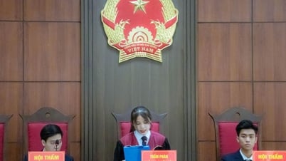 Многие кандидаты на юридические специальности удивляются, когда их спрашивают, трудолюбивы ли они?