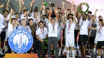 Emociones el día que Nam Dinh Club ganó el campeonato de la V-League por segunda vez