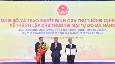 Công bố quyết định thành lập Khu thương mại tự do Đà Nẵng