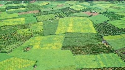 Agricultural restructuring - the driving force for building new rural areas in Dak Nong