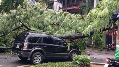 Un árbol cae sobre tres coches en la calle Trang Thi, Hanoi.