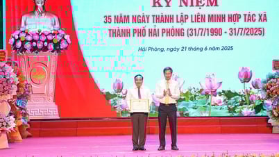 សម្ព័ន្ធសហករណ៍ទីក្រុងប្រារព្ធខួប 35 ឆ្នាំនៃការបង្កើត (1989-2024): ការបញ្ជាក់ពីតួនាទីស្នូលក្នុងការអភិវឌ្ឍសេដ្ឋកិច្ចសមូហភាព