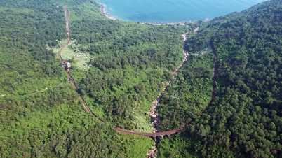 Quy hoạch đèo Hải Vân thành không gian đô thị, du lịch sinh thái 57.692 ha