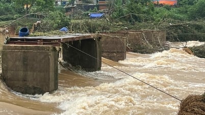 Cầu ngầm tràn Trại Ngựa bị lũ cuốn, nhiều xóm chìm trong biển nước