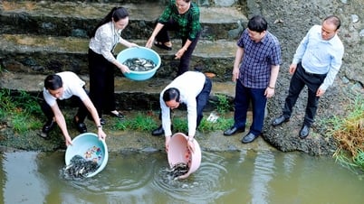 ត្រី​ជាង​៣​តោន​ត្រូវ​បាន​ដោះលែង​ដើម្បី​ការពារ​និង​បង្កើត​ធនធាន​ជលផល​ឡើង​វិញ​។