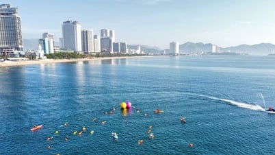 นักกีฬาเกือบ 800 คนร่วมแข่งขันว่ายน้ำ SeaStar Nha Trang Bay 2025