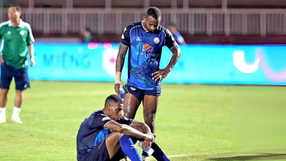 Clasificación de la V-League 2024-2025: Binh Dinh desciende, Da Nang juega el play-off
