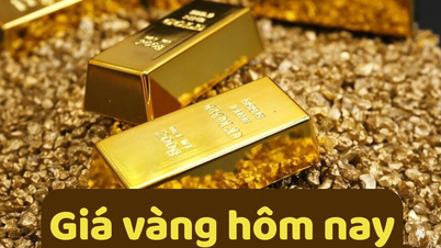 Precio del oro hoy 22 de junio de 2025: Los precios del oro nacional e internacional aumentan debido a la presión de compra de la pesca de fondo.