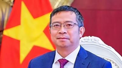 Prime Minister Pham Minh Chinh attends WEF Tianjin Conference and works in China: Promoting growth drivers in the new era