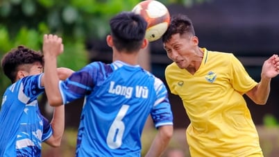 ក្លឹប Gia Dinh និងសាកលវិទ្យាល័យ Van Hien បានឡើងទៅកាន់ V-League 2