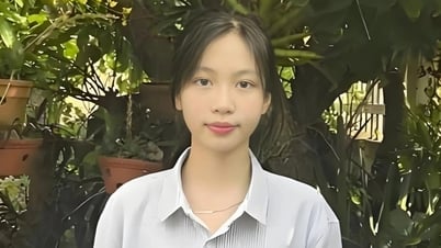 Nữ thủ khoa thi vào lớp 10: "Học môn tự nhiên cần có năng khiếu"