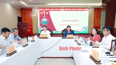 Hội nghị trực tuyến toàn quốc Ban chỉ đạo triển khai các chương trình, dự án trọng điểm quốc gia và thúc đẩy đầu tư công năm 2025