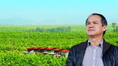 Bầu Đức tung trăm tỷ 'gom hàng', Hoàng Anh Gia Lai sức khỏe ra sao?