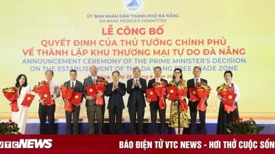 វិនិយោគិនយុទ្ធសាស្ត្រចំនួន ៨ នៅតំបន់ពាណិជ្ជកម្មសេរី Da Nang