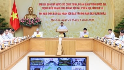 SUMMARY: Meeting of the Steering Committees on eliminating temporary and dilapidated houses; Important national and key projects of the transport sector; Promoting disbursement of public investment capital in 2025