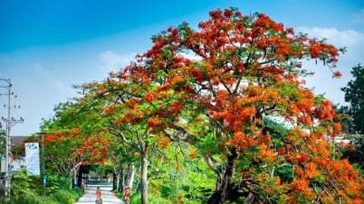 ចម្រៀងរដូវក្តៅ