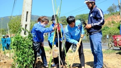 Chung sức trẻ xây dựng nông thôn mới