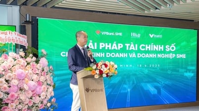 VPBankSME bắt tay Hilo, Vinatti hỗ trợ hộ kinh doanh chuyển đổi mô...