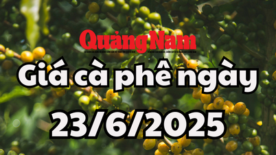 ข่าวสาร คาดการณ์ราคากาแฟพรุ่งนี้ 23 มิ.ย. 68 รอสัญญาณดีขึ้น