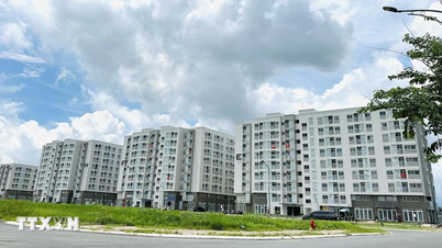 TP Hồ Chí Minh: Hỗ trợ chuyển đổi việc làm, mua, thuê mua nhà ở xã hội sau sắp xếp
