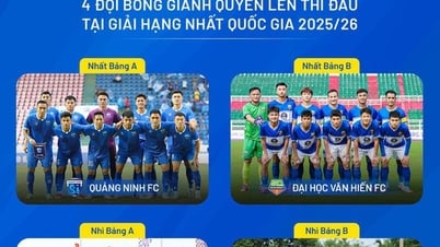 El primer equipo con nombre universitario que jugó fútbol profesional en Vietnam