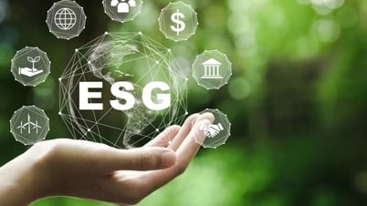 Chuyển đổi số, thực hành ESG: Cánh cửa hướng đến hội nhập toàn cầu
